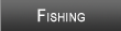 Lake Norman Fishing